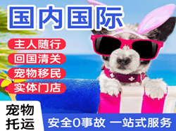 滨海航空货运国际宠物托运 【国
